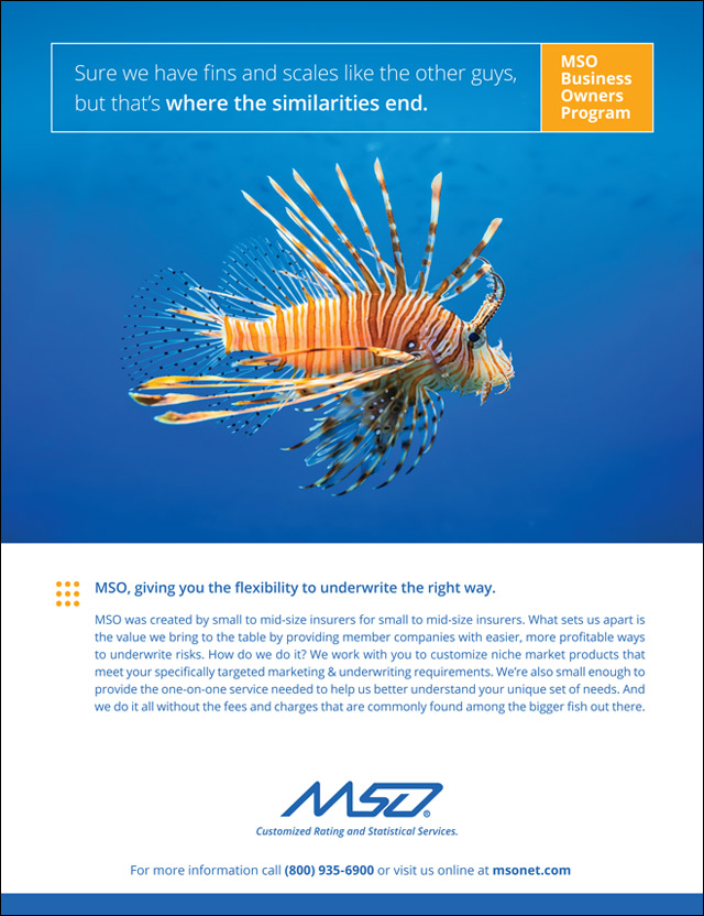 MSO_Print_Ad_5